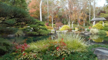 Fall Colorfest (Gibbs Garden, GA) - gardens.