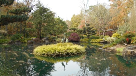 Fall Colorfest (Gibbs Garden, GA) - pond with fall color.