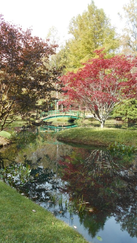 Fall Colorfest (Gibbs Garden, GA) - water and bridge.