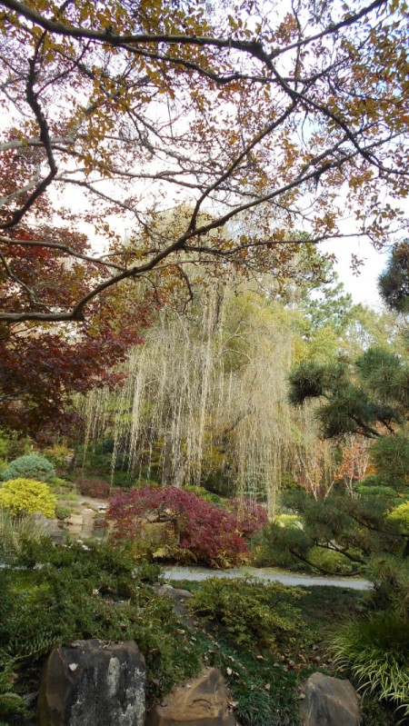 Fall Colorfest (Gibbs Garden, GA) - gardens.