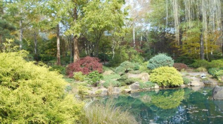 Fall Colorfest (Gibbs Garden, GA) - gardens.