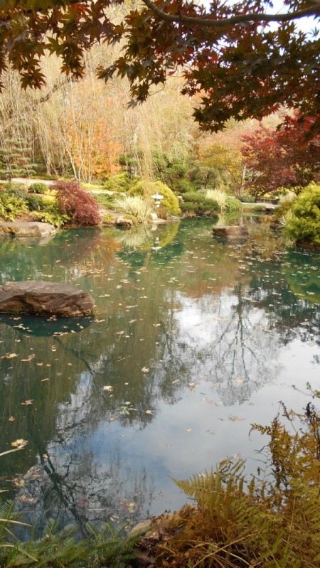 Fall Colorfest (Gibbs Garden, GA) - pond with fall color.