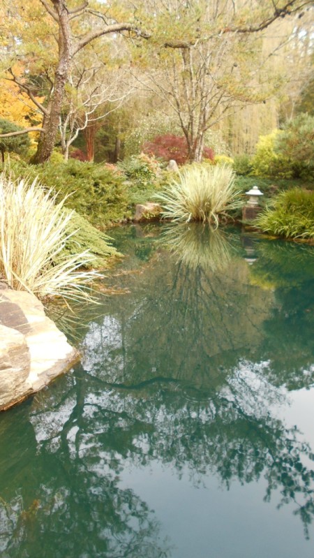 Fall Colorfest (Gibbs Garden, GA) - pond.