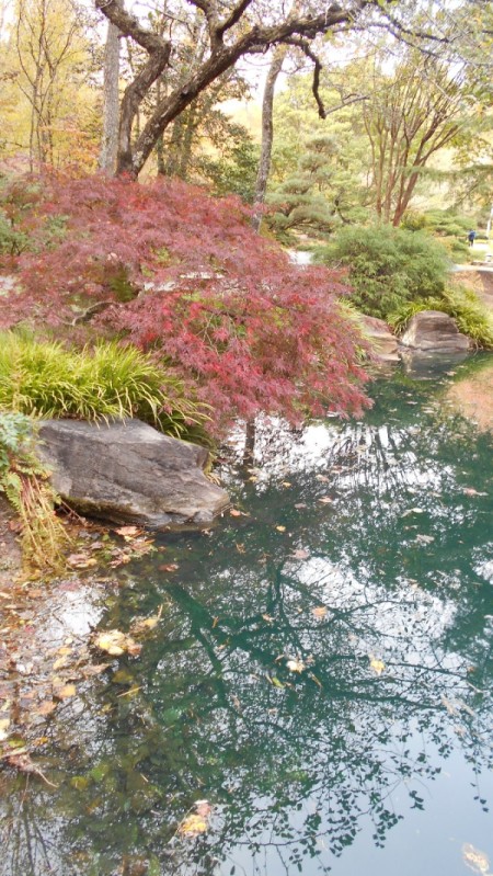 Fall Colorfest (Gibbs Garden, GA) - pond.