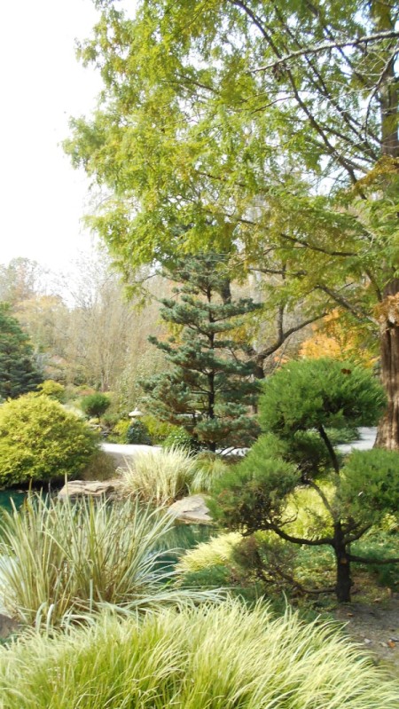 Fall Colorfest (Gibbs Garden, GA) - gardens.