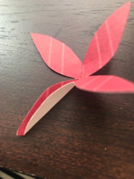 Christmas Wreath and Tree Holiday Card - creased petal