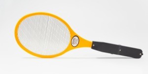 Getting Rid of Gnats in Your House | ThriftyFun