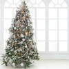 Decorated Christmas Tree with large window behind.