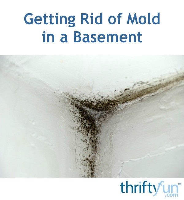 getting-rid-of-mold-in-a-basement-thriftyfun