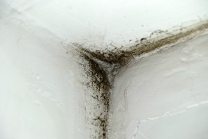 Moldy wall corner.