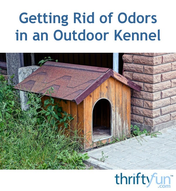 Getting Rid of Odors in an Outdoor Kennel? ThriftyFun