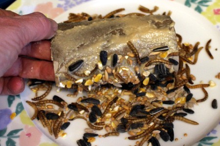 Easy Bird Feeder - roll tube in seeds and worms
