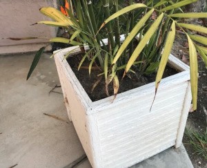 A planter placed so that packages can be hidden behind it.