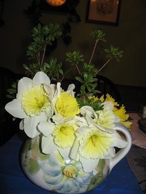 White daffodils with yellow centers, in a vase.