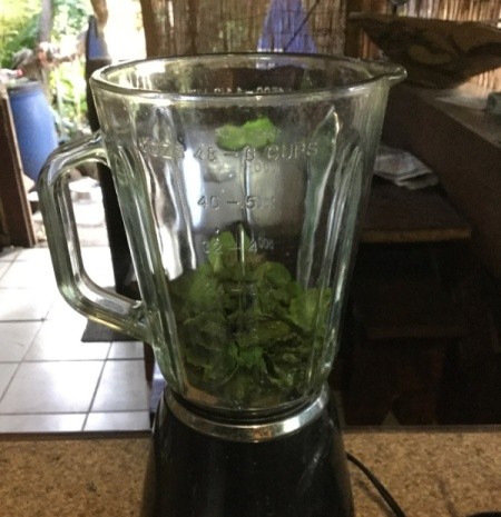 How To Make Fresh Mint Oil