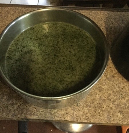 Mint and Oil in pan