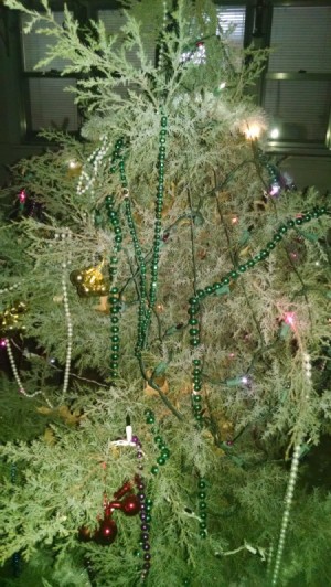 An outdoor evergreen tree decorated for Christmas.