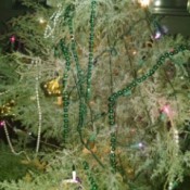 An outdoor evergreen tree decorated for Christmas.
