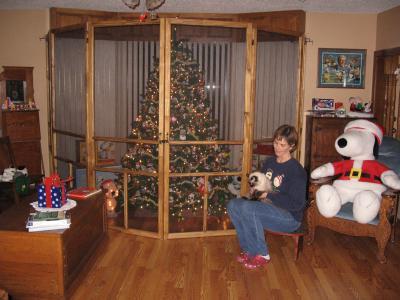 A Christmas tree in a caged area to keep the cat out.