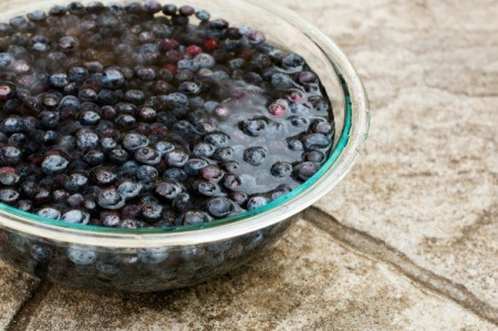 Washing Blueberries in Glass Bowl