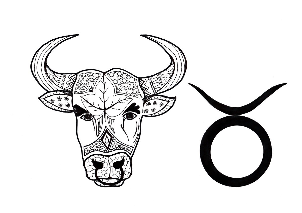Taurus Adult Coloring Page | ThriftyFun