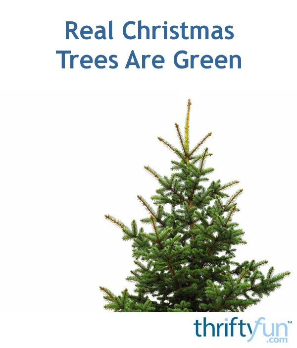 Benefits of Buying a Real Christmas Tree ThriftyFun