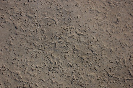 Sand at the Glorietta Bay Park Promenade.