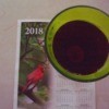 A green glass filled with a red liquid on top of a 2018 calendar.