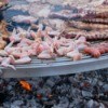 Many Types of Meat on a BBQ