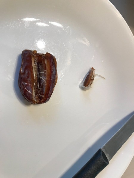 removing pits from Dates