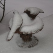 A garden sculpture of two birds covered in snow.