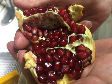 Juicing and Growing Your Own Pomegranates - pop it open