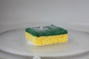 Sponge in Microwave