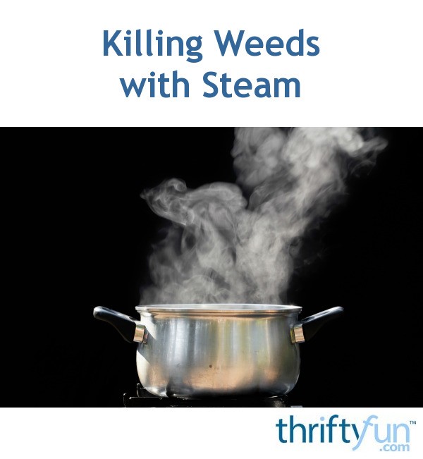 Killing Weeds with Steam ThriftyFun