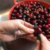 A straw being pushed through a whole cherry, to remove the pit.