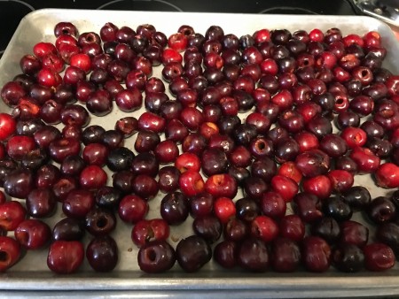 A cookie sheet covered with pitted cherries.
