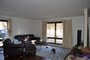 Paint and Curtain Color Advice -
 living room