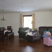 Paint and Curtain Color Advice - furniture