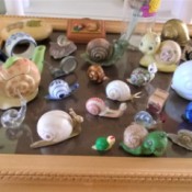 Displaying My Snail Collection - more snails