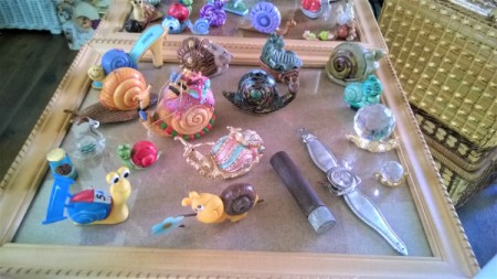 Displaying My Snail Collection - third frame