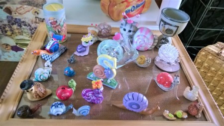Displaying My Snail Collection - last frame with more of the collection