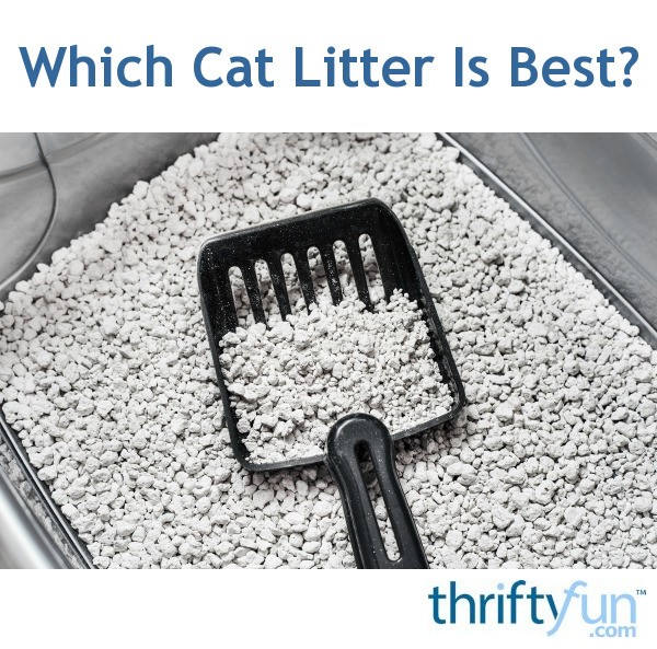 Which Cat Litter Is Best? ThriftyFun
