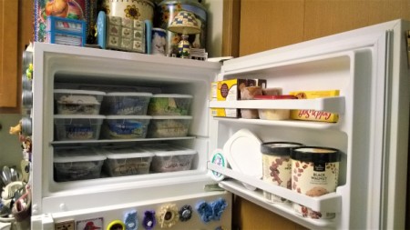 An organized freezer filled with plastic shoe boxes.