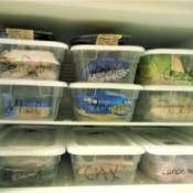 An organized freezer filled with plastic shoe boxes.