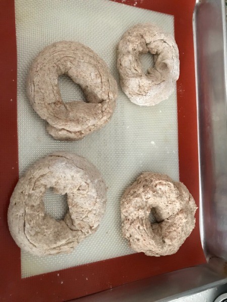 dough formed into circles