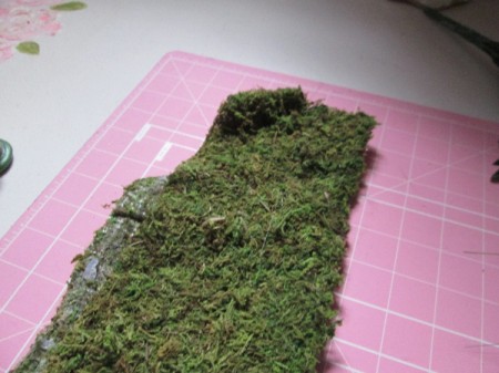 The Smallest Fairy Garden - moss