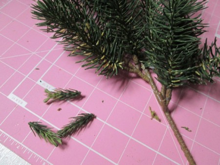 The Smallest Fairy Garden