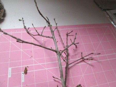 The Smallest Fairy Garden - twigs