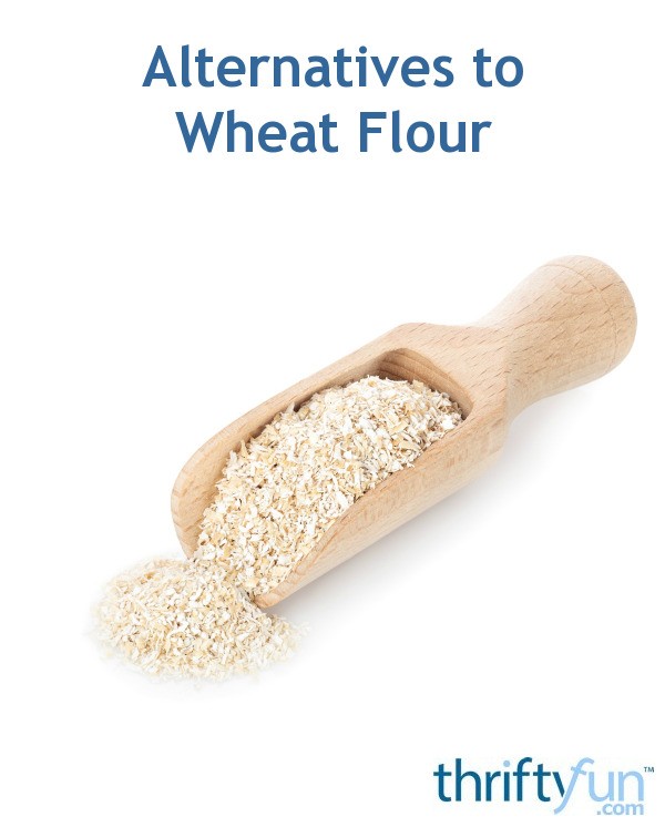 Alternatives to Wheat Flour? | ThriftyFun