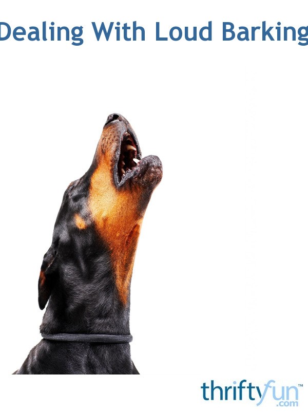 Dealing With Loud Barking | ThriftyFun